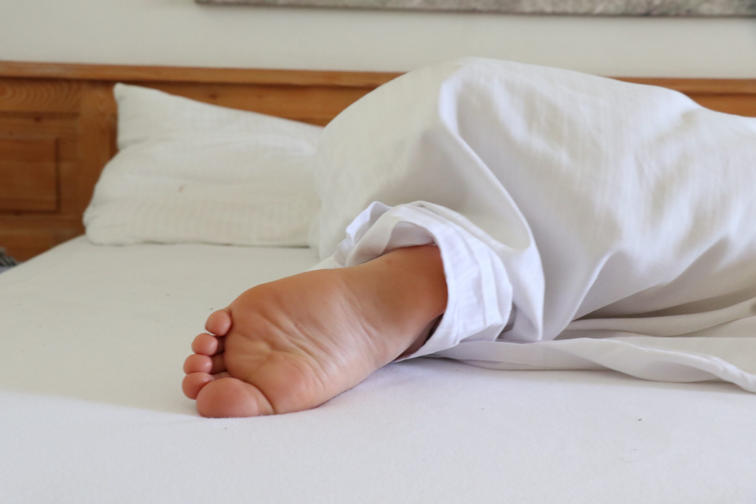 Image by Lena Helfinger from Pixabay